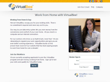 VirtualBee